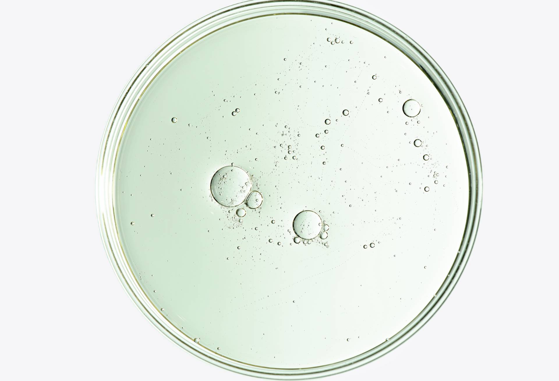 02_Kollektionen/Inhaltsstoffe/AdobeStock_1327267913.jpeg