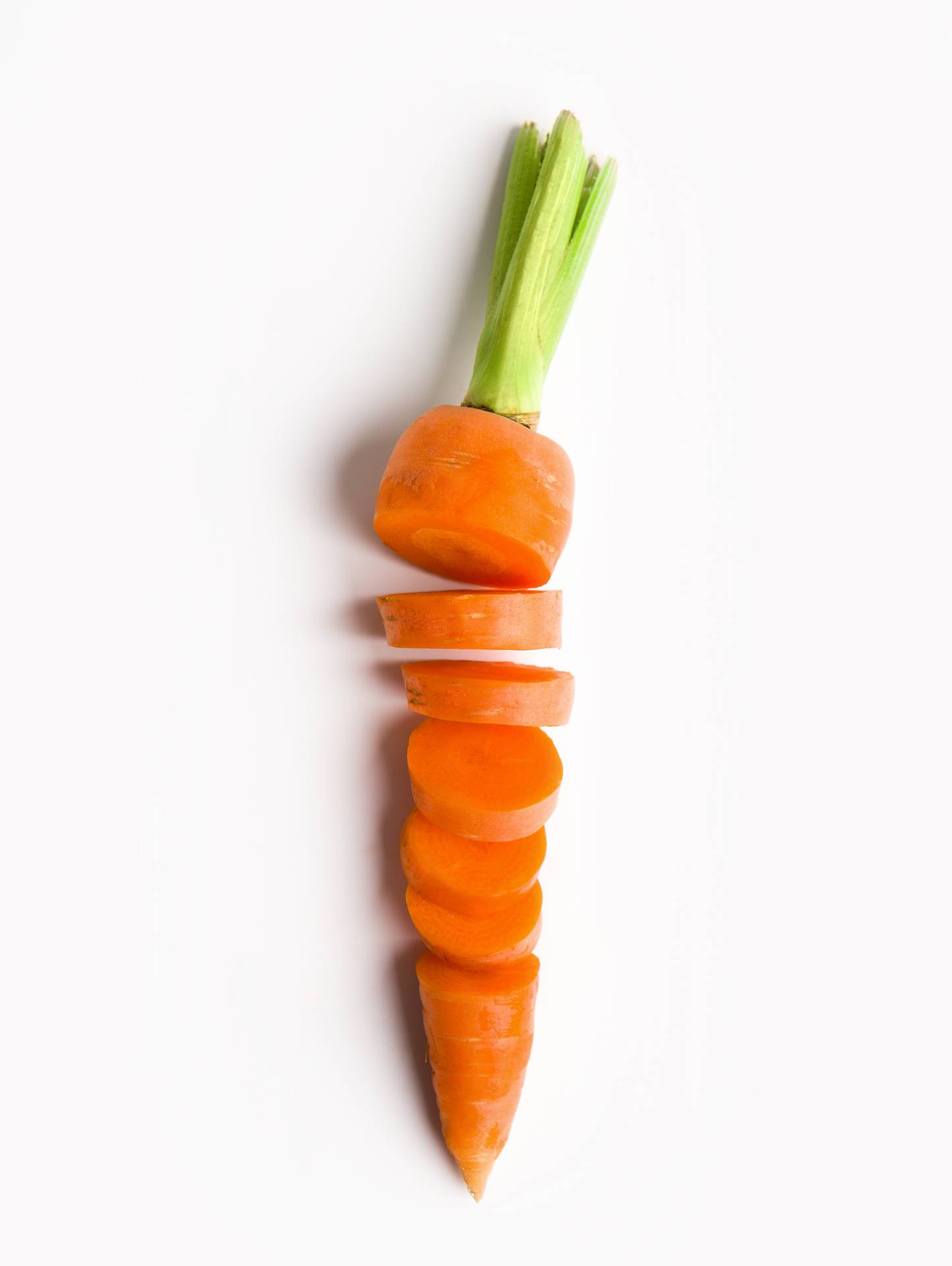 02_Kollektionen/Inhaltsstoffe/AdobeStock_313387844.jpeg